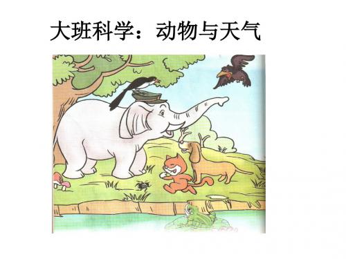 《动物和天气》(幼儿园PPT课件)