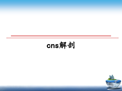 最新cns解剖课件PPT