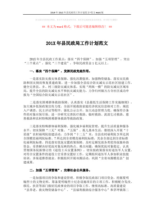 2019年201X年县民政局工作计划范文-范文word版 (3页)