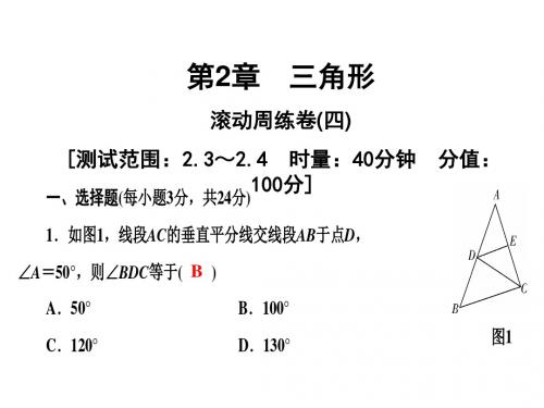 八年级数学上学期湘教版第2章滚动周练卷(四)