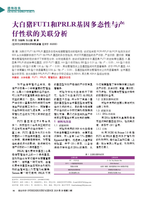 大白猪FUT1和PRLR基因多态性与产仔性状的关联分析