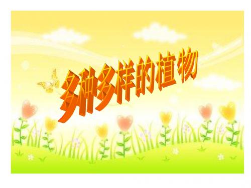 教科版六年级上册科学《多种多样的植物》课件