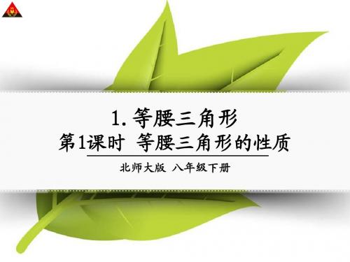 第1课时 等腰三角形的性质1