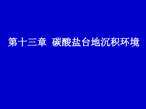 13碳酸盐台地沉积解析