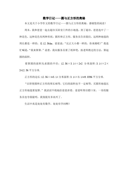 数学日记——圆与正方形的奥秘_小学作文