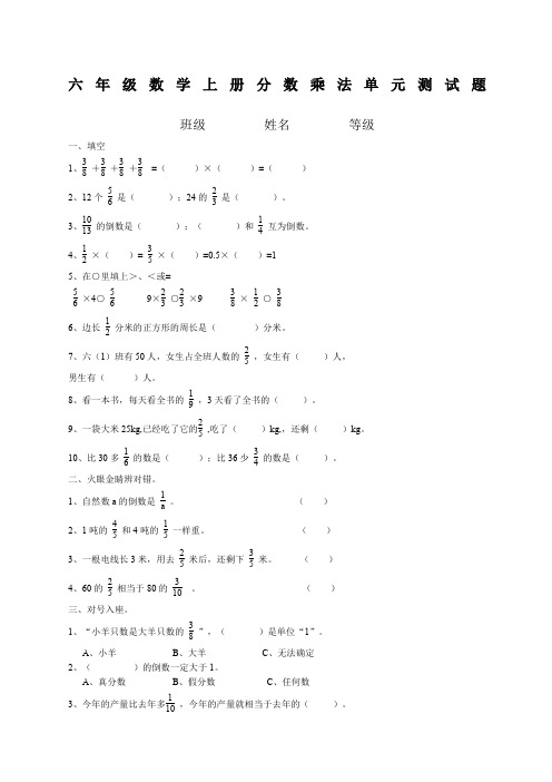 青岛版六年级数学上册分数乘法单元测试题