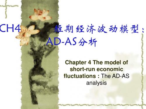 CH4 短期经济波动模型：AD-AS分析