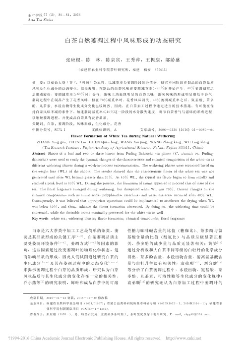 白茶自然萎凋过程中风味形成的动态研究