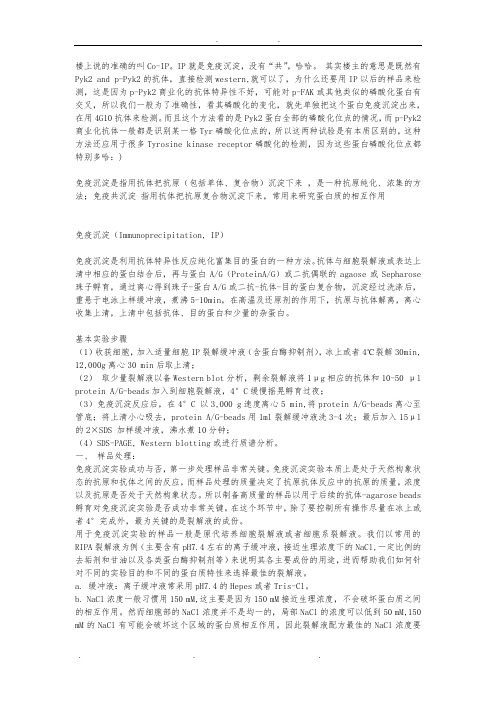 免疫沉淀IP 免疫共沉淀coIP 染色体免疫沉淀ChIP