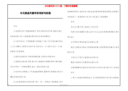 今天我是升旗手好词好句好段