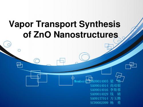 ZnO 纳米结构的气相输运合成