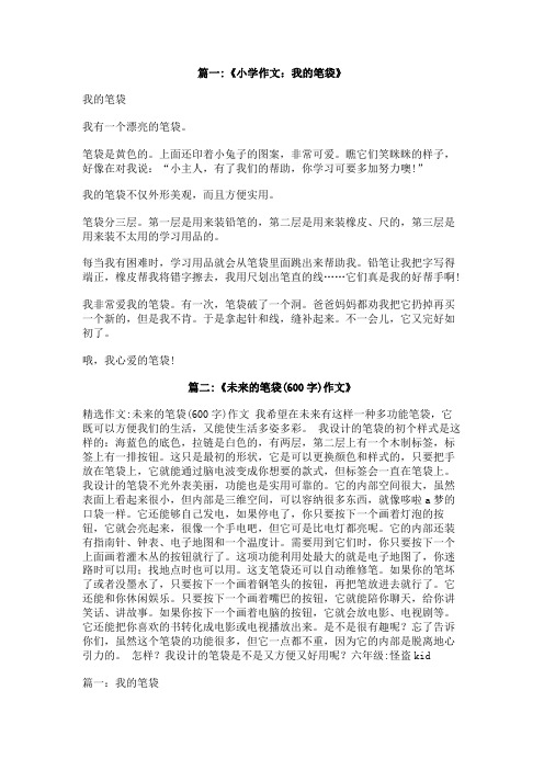 我的笔袋作文600字