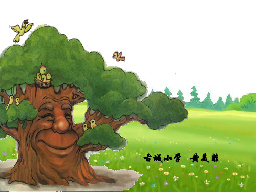 北师大版老树的故事)ppt课件