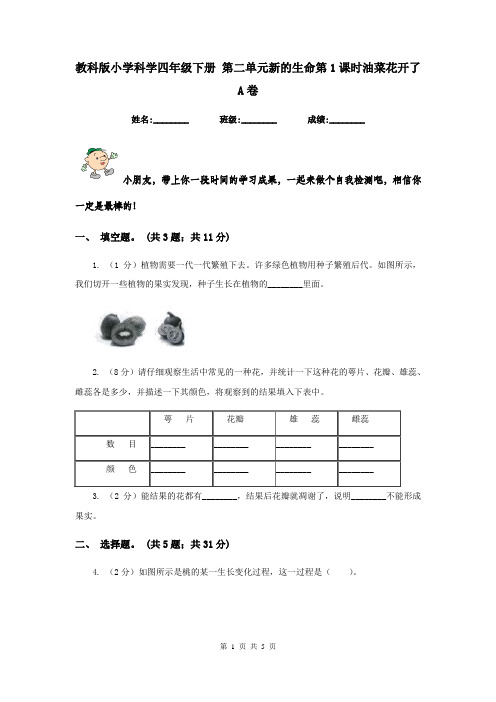 教科版小学科学四年级下册 第二单元新的生命第1课时油菜花开了   A卷