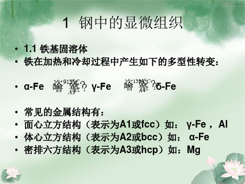 钢的组织