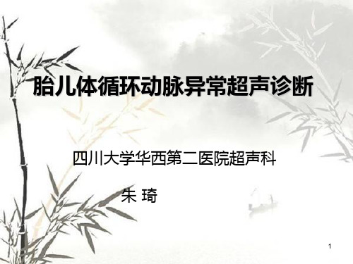体循环动脉异常讲义ppt课件