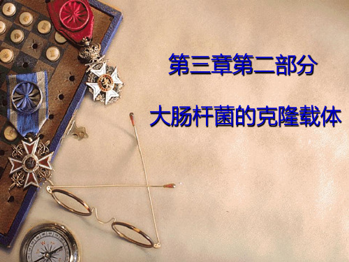 大肠杆菌的克隆载体 PPT课件
