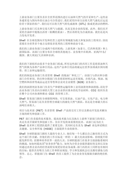 壳牌职能划分