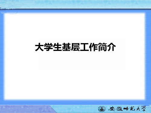 大学生基层工作简介ppt课件