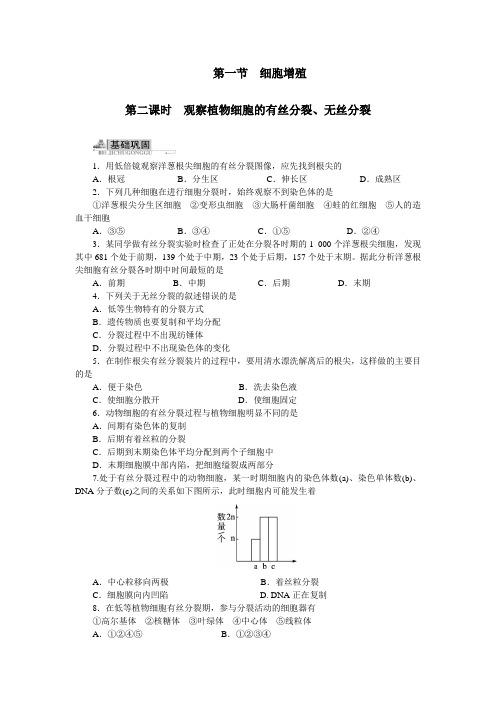 人教课标生物必修1《细胞增殖观察植物细胞的有丝分裂、无丝分裂》优化训练(附答案)(第2课时)