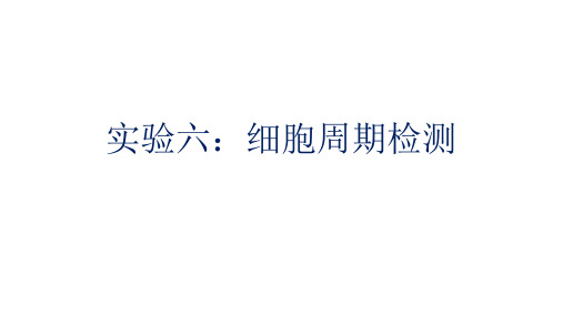 细胞实验六：细胞周期检测
