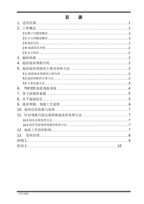 超前地质预报实施细则(经典版)