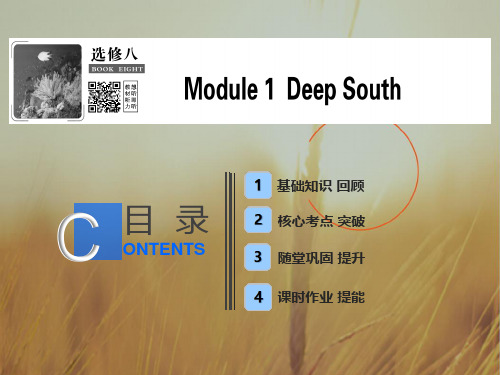 2019版一轮英语外研版课件：选修八 Module 1 Deep South 精品