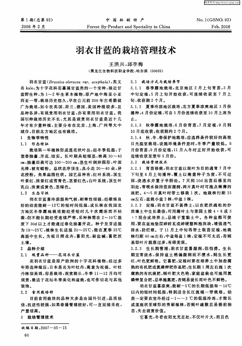 羽衣甘蓝的栽培管理技术