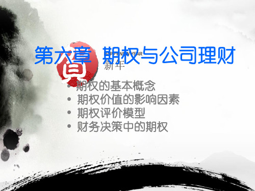 期权与公司理财(PPT 47页)1