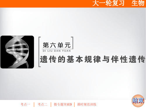 高三生物一轮复习课件 基因的分离定律