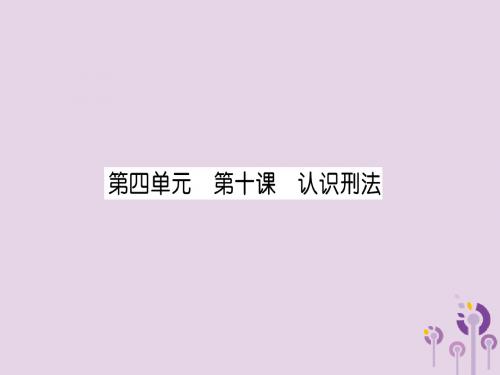 2019中考道德与法治复习八上第10课认识刑法课件教科版