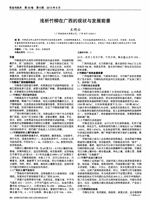 浅析竹柳在广西的现状与发展前景