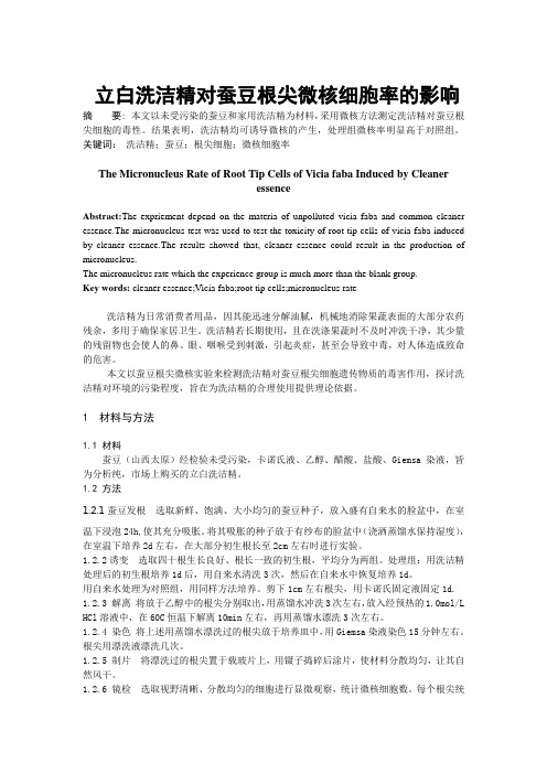 立白洗洁精对蚕豆根尖微核细胞率的影响