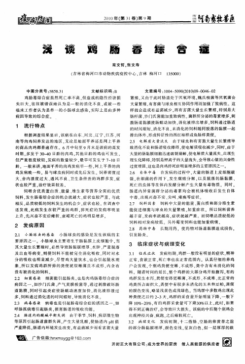 浅谈鸡肠毒综合症