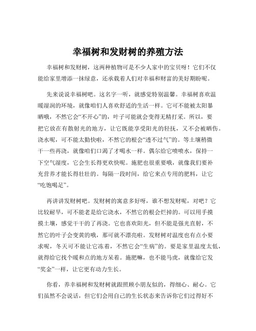 幸福树和发财树的养殖方法