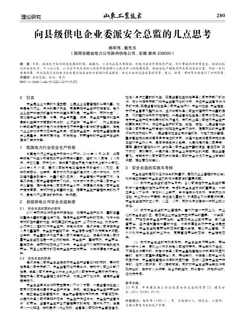 向县级供电企业委派安全总监的几点思考