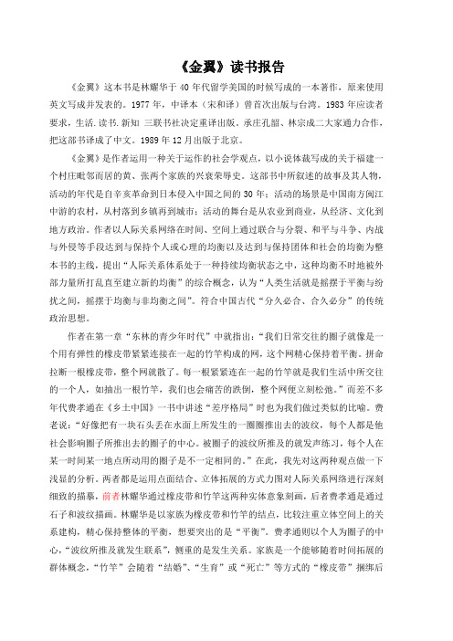 《金翼》读书报告