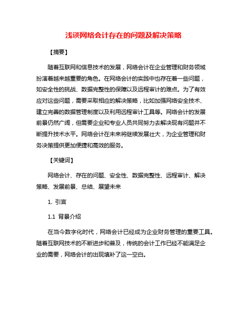 浅谈网络会计存在的问题及解决策略