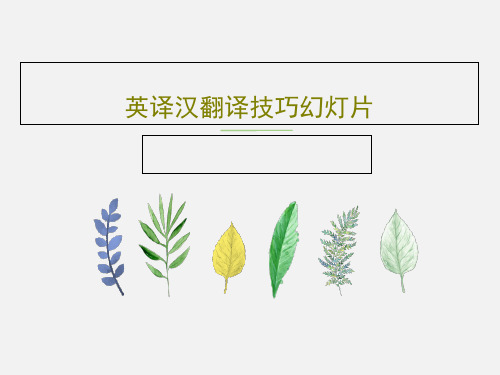 英译汉翻译技巧幻灯片75页PPT