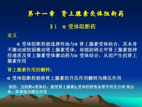 第11 抗肾上腺素药