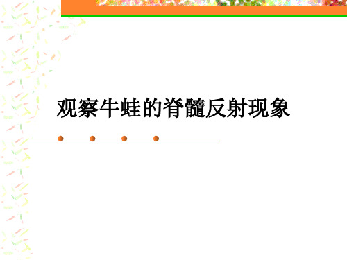 3实验5.1观察牛蛙的脊髓反射现象.