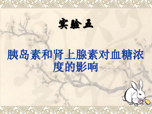 实验五_激素对血糖浓度的影响
