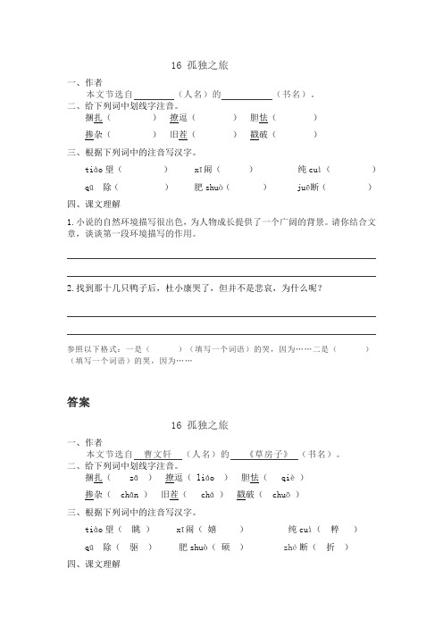 部编版九上16 孤独之旅 习题及答案