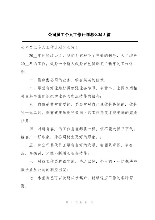 公司员工个人工作计划怎么写5篇