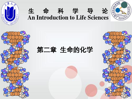 第二章生命化学分析