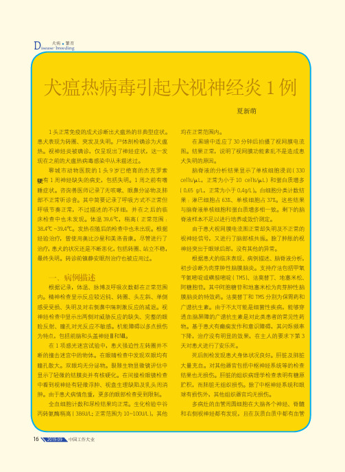 犬瘟热病毒引起犬视神经炎1例