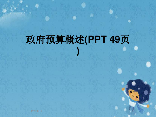 政府预算概述(PPT 49页)