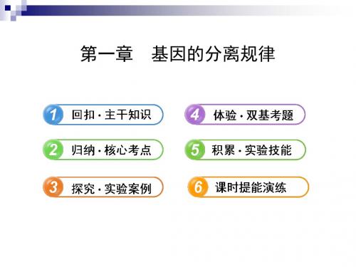 2.2.1基因的分离规律配套课件 中图版必修2