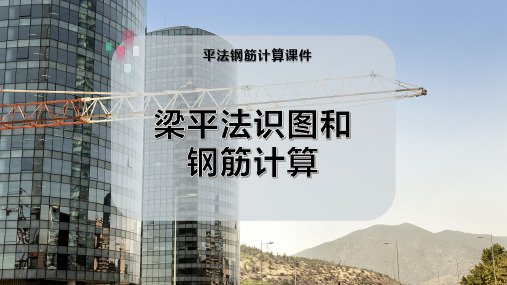 梁平法识图和钢筋计算