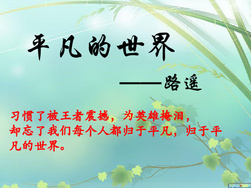 平凡的世界介绍精美ppt